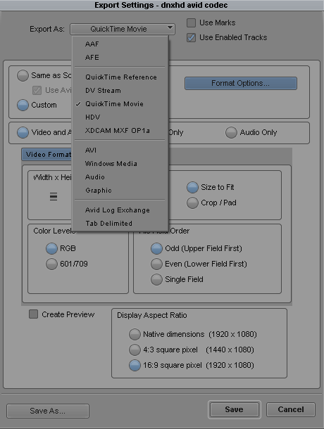 export options.png